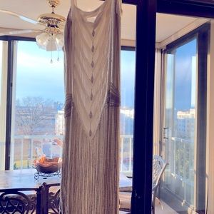 Beautiful Roaring Twenties Cache dress